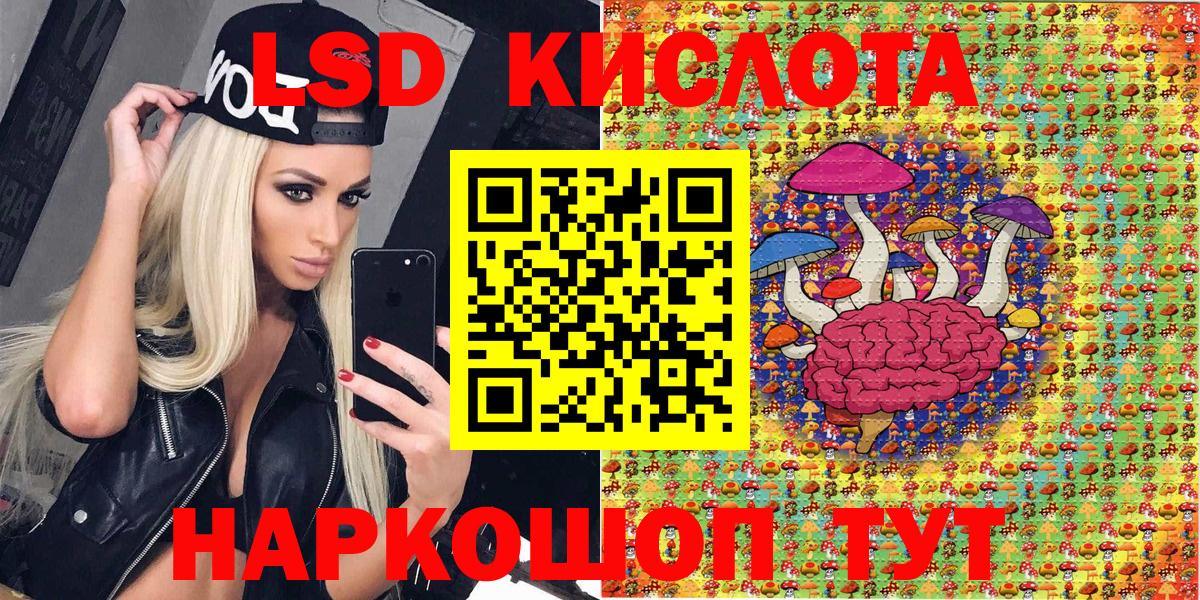 Галлюциногенные грибы Карачаевск