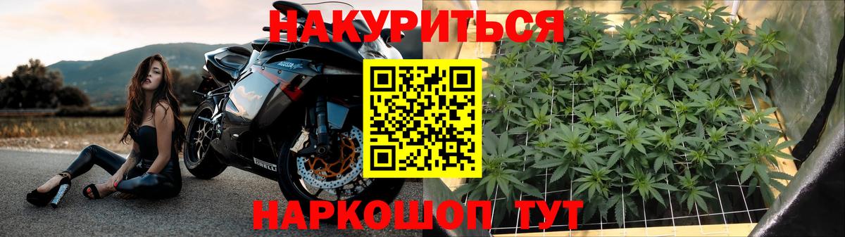Шишки марихуана OG Kush Карачаевск